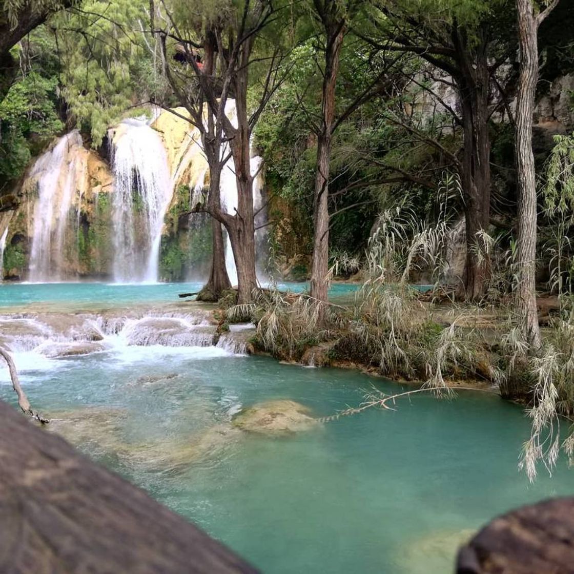 Lugar Cascada El Chiflón