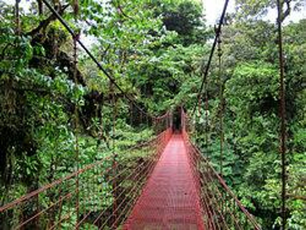 Lugar Monteverde Cloud Forest Biological Preserve