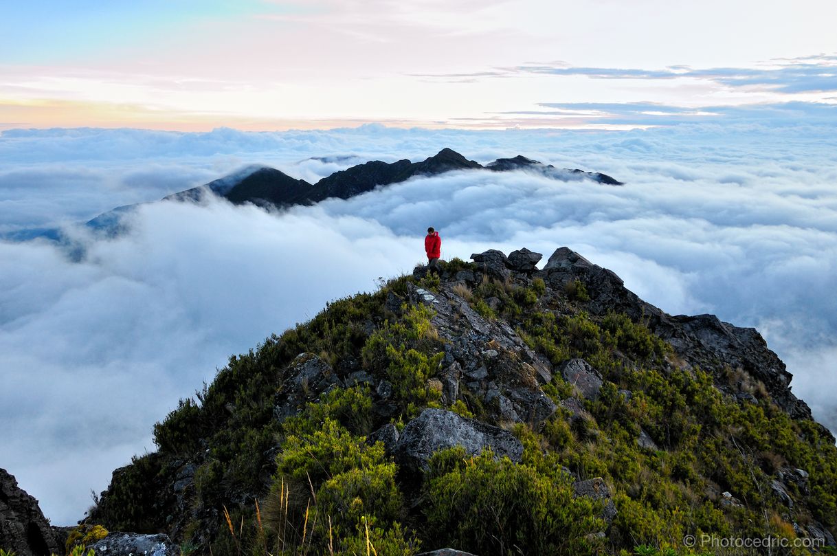 Lugar Cerro Chirripó