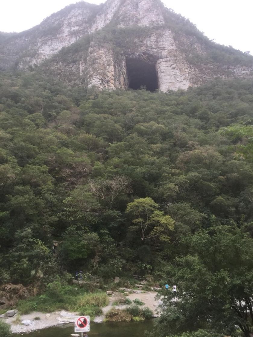 Lugar Cueva De Los Murcielagos