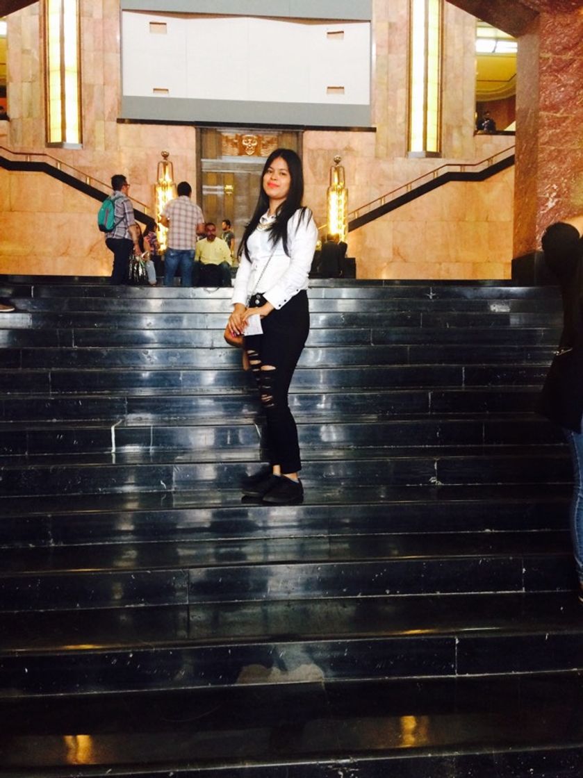 Lugar Bellas Artes