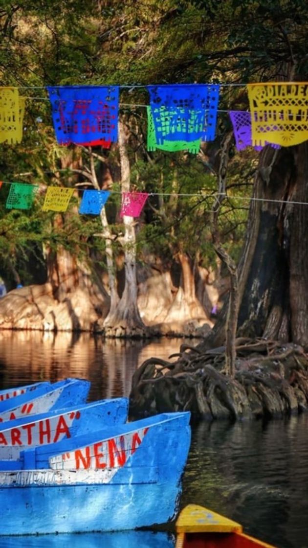 Lugar Lago de Camécuaro