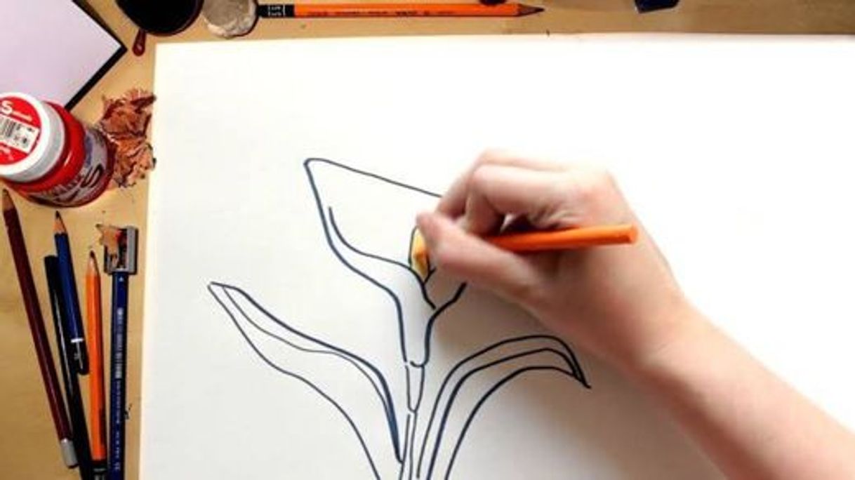 Moda Como dibujar una flor Lirio (comentado) - YouTube