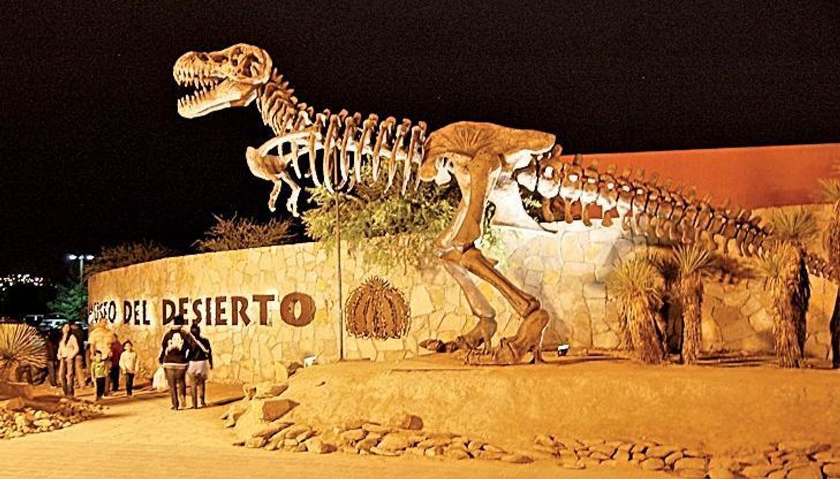 Place Museo del Desierto