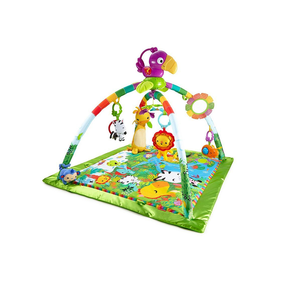 Social Gimnasio de Lujo Selva Tropical

