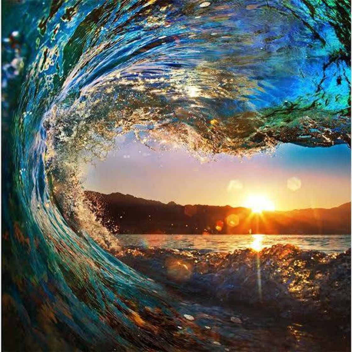 Social 🏄‍♂️ surf