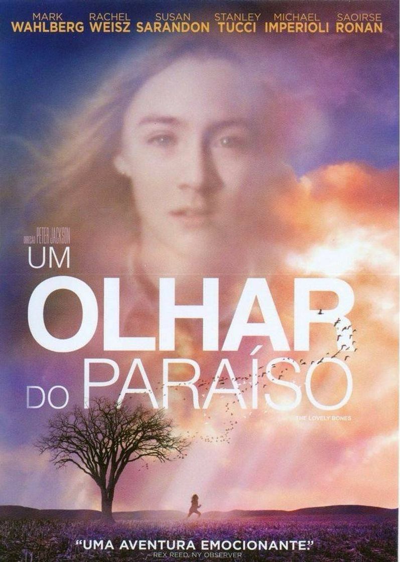 um olhar do paraíso ♡