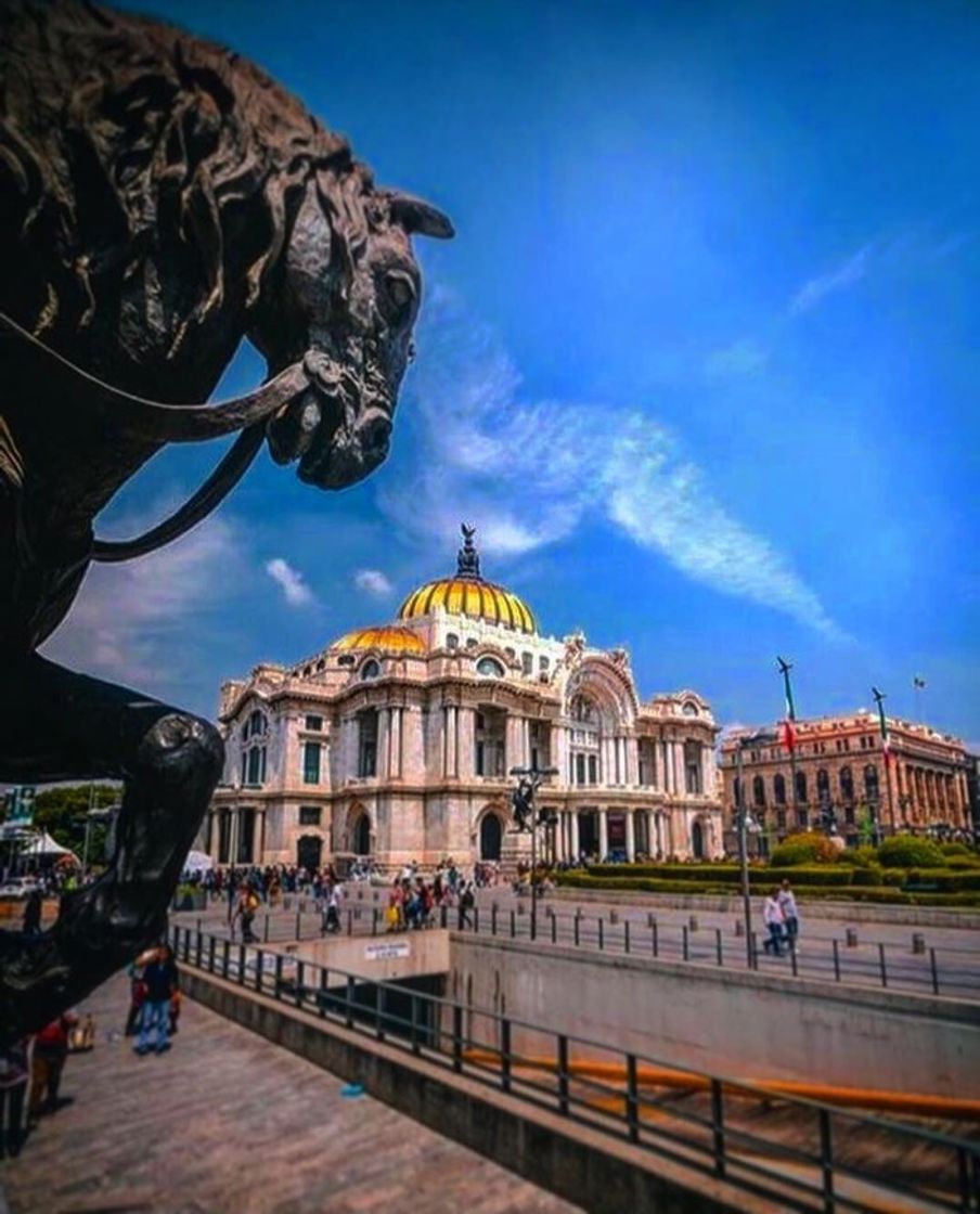 Lugar Palacio de Bellas Artes