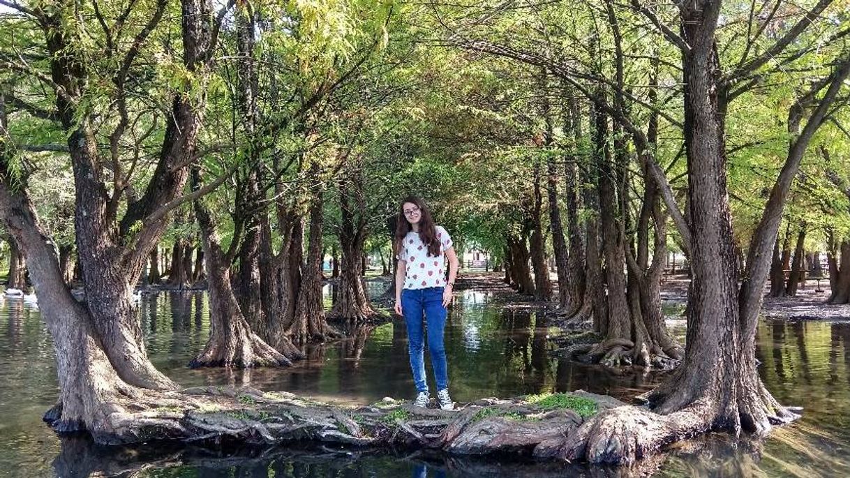 Place Lago de Camécuaro