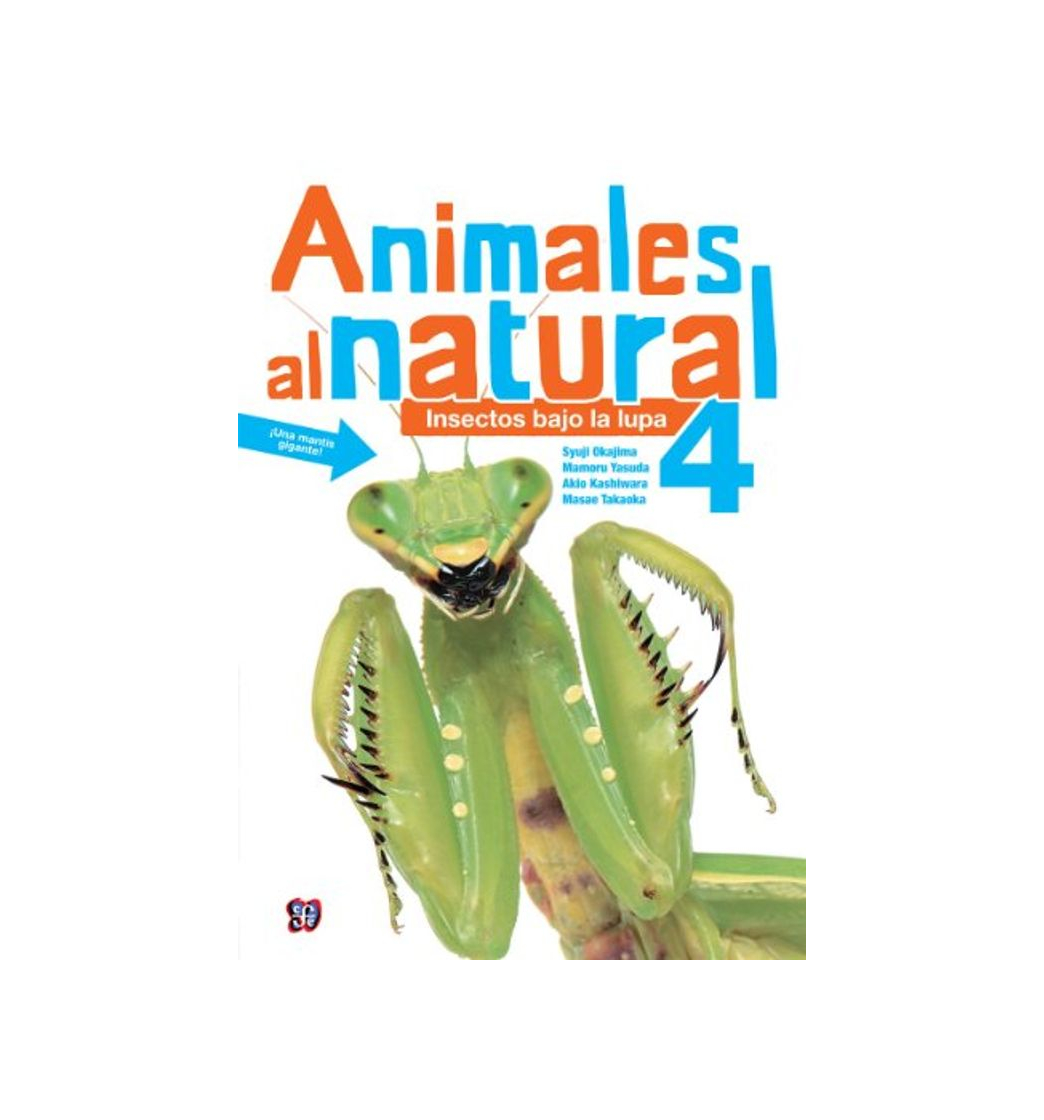 Libros Animales al natural 4. Insectos bajo la lupa