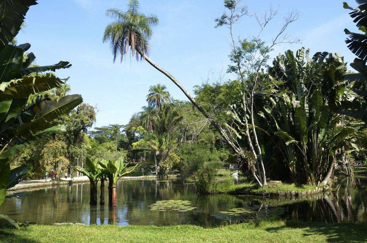 Moda Jardim Botânico