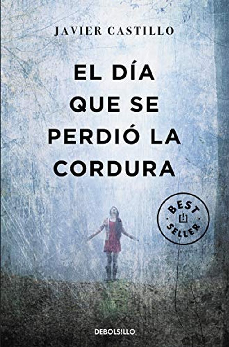 Book El día que se perdió la cordura