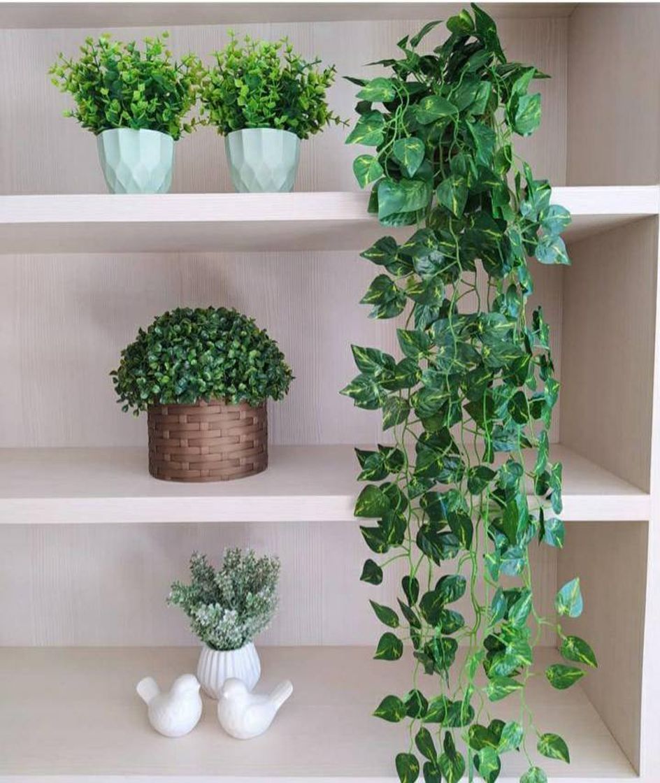 Plantinhas artificiais ❤😭