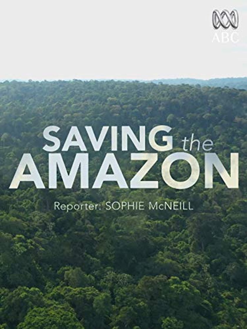 Social Saving the Amazon
