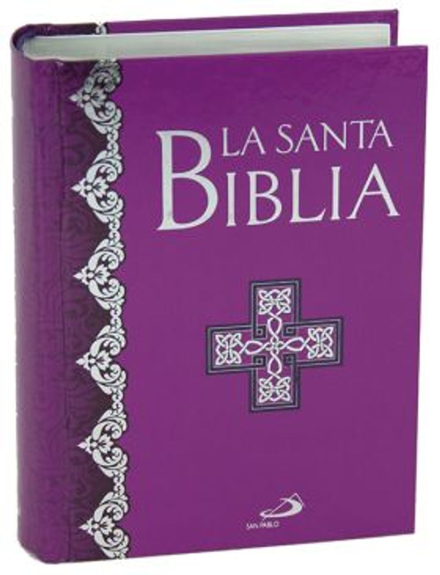 Libro La Santa Biblia