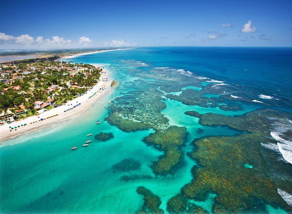 Lugar Praia de Porto de Galinhas