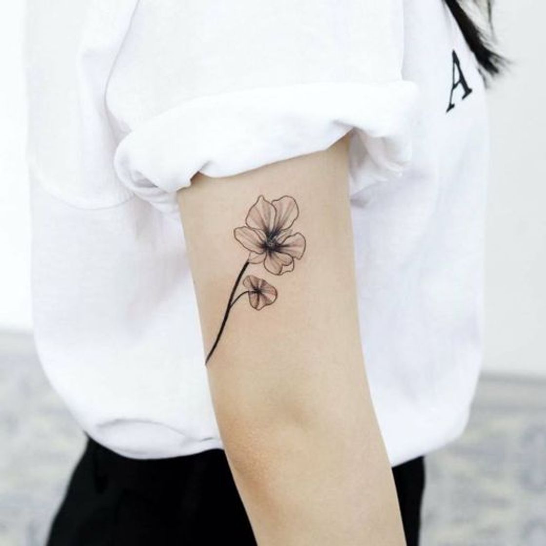 Moda Tattos 