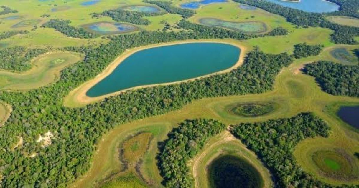 Moda Pantanal- Brasil😍🌳