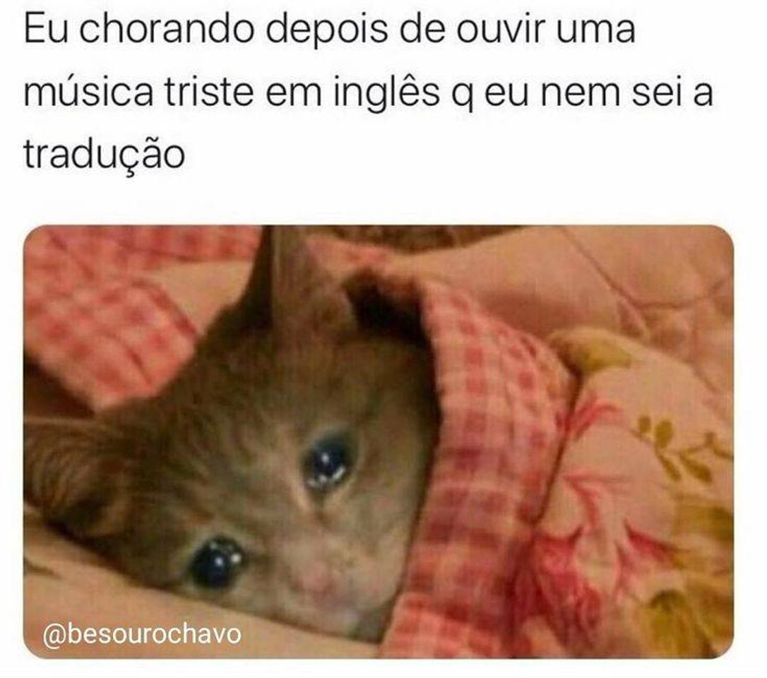 Memes