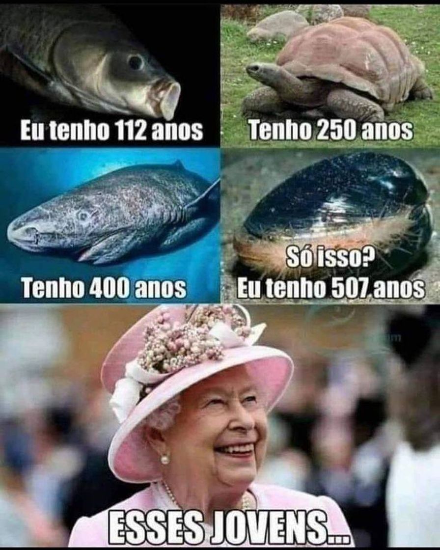 Memes