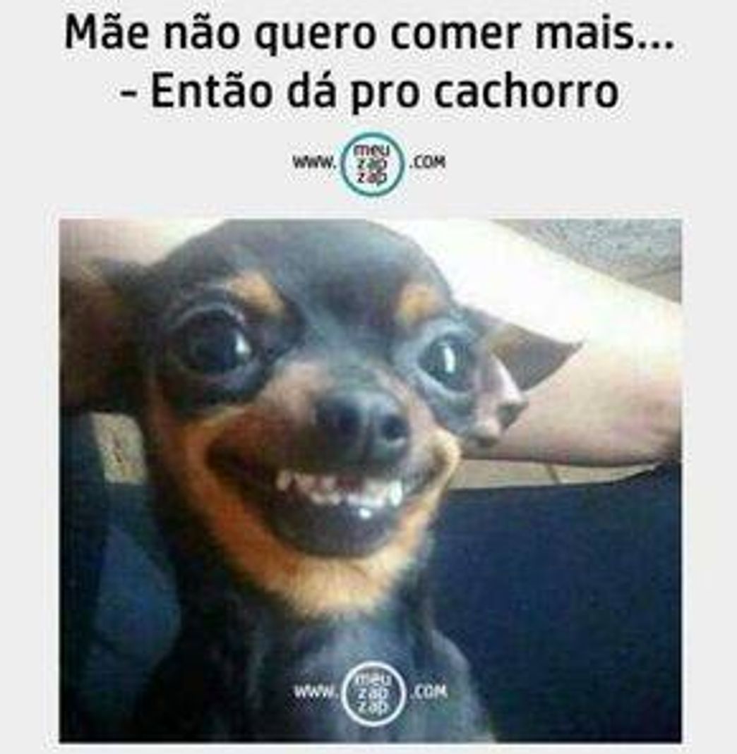 ᗰᗴᗰᗴՏ 🤪