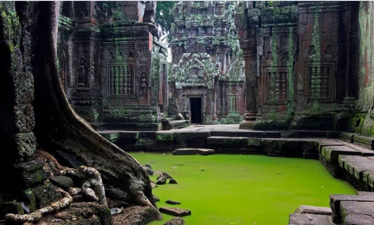 Fashion Templo Angkor wat