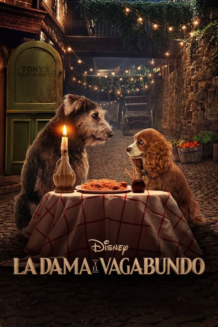 Película La dama y el vagabundo