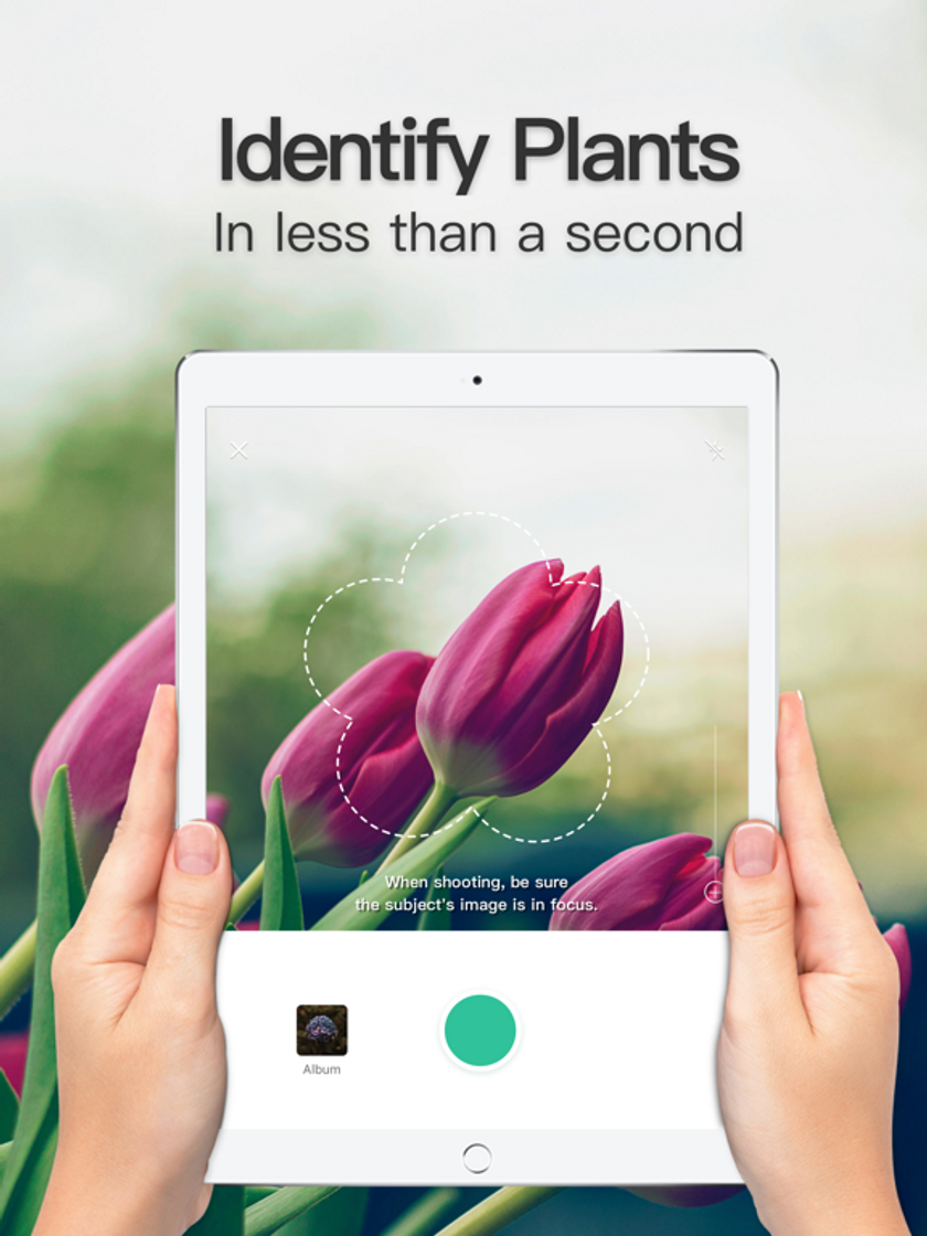 Social ‎PictureThis - Plant Identifier