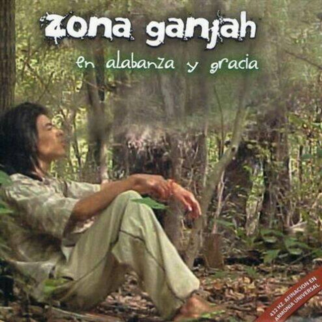 Music Reggae conciente