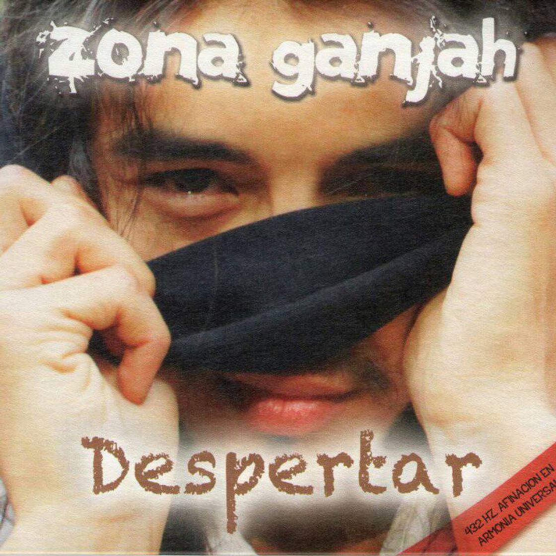 Music Estoy bien  - Zona Ganjah - Reggae 