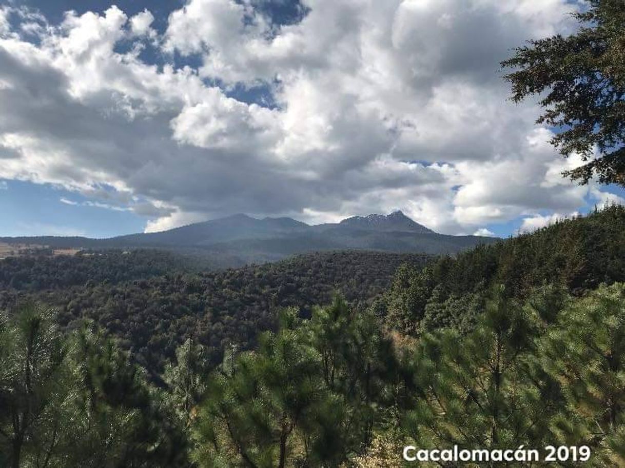 Parque Ecológico Ejidal de Cacalomacán