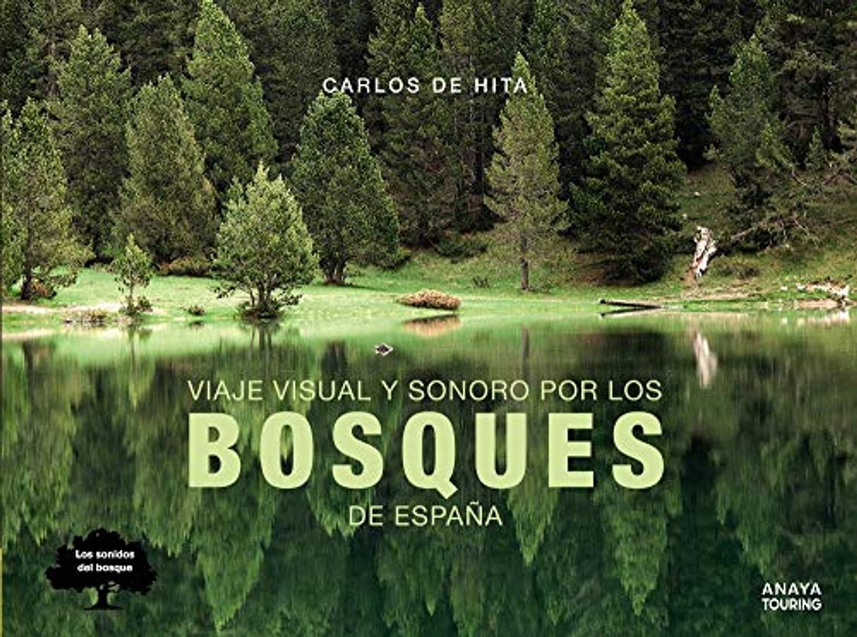 Libro Viaje visual y sonoro por los bosques de España