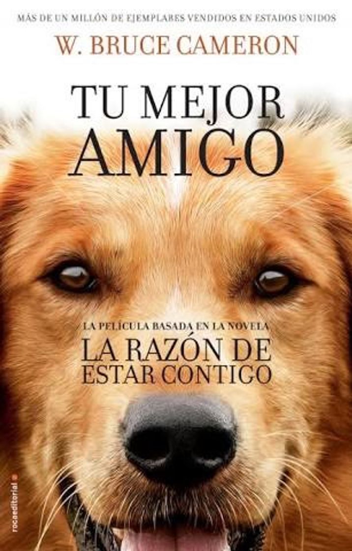 Movie LA RAZÓN DE ESTAR CONTIGO: UN NUEVO VIAJE