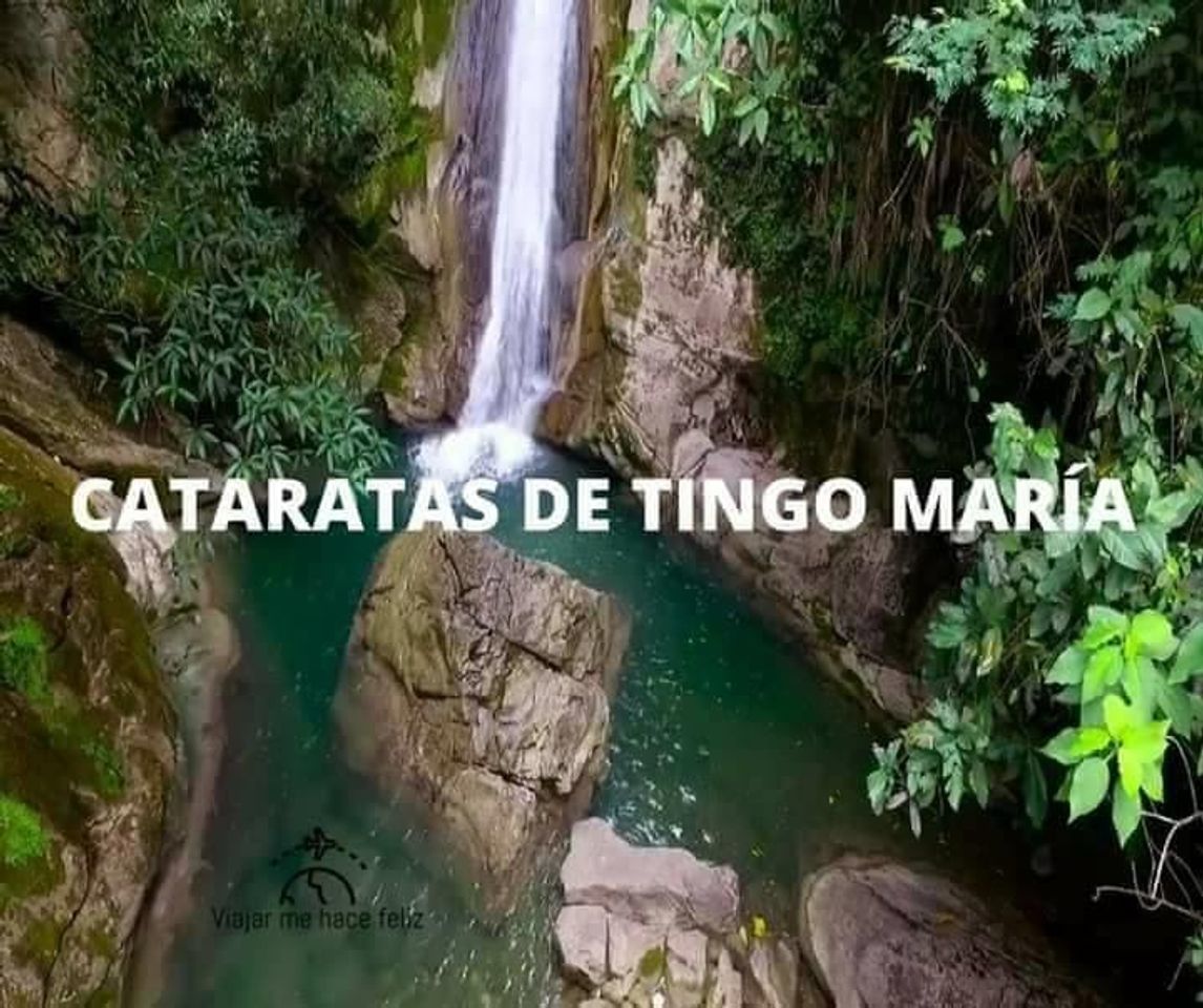 Lugar Tingo María