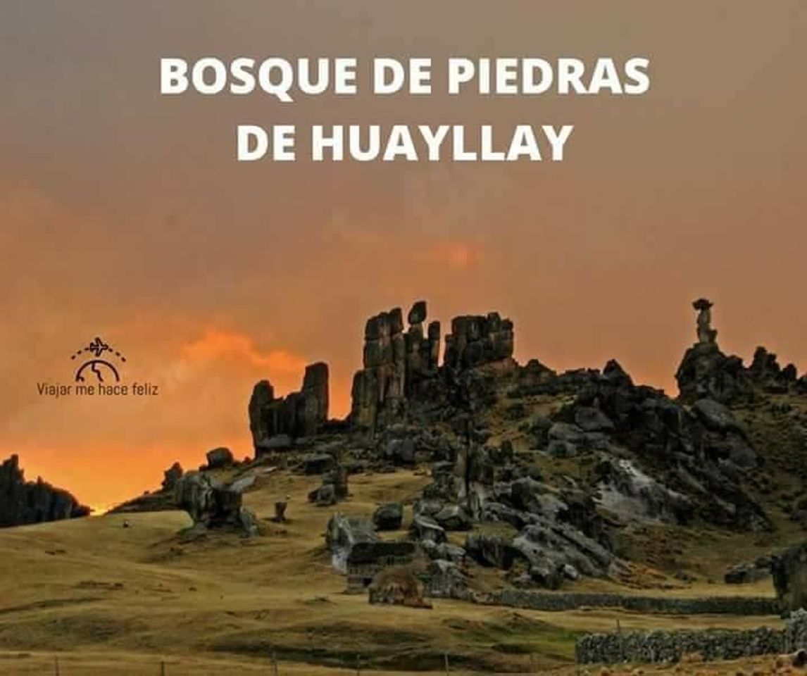 Lugar BOSKE DE PIEDRAS DE HUAYLLAY