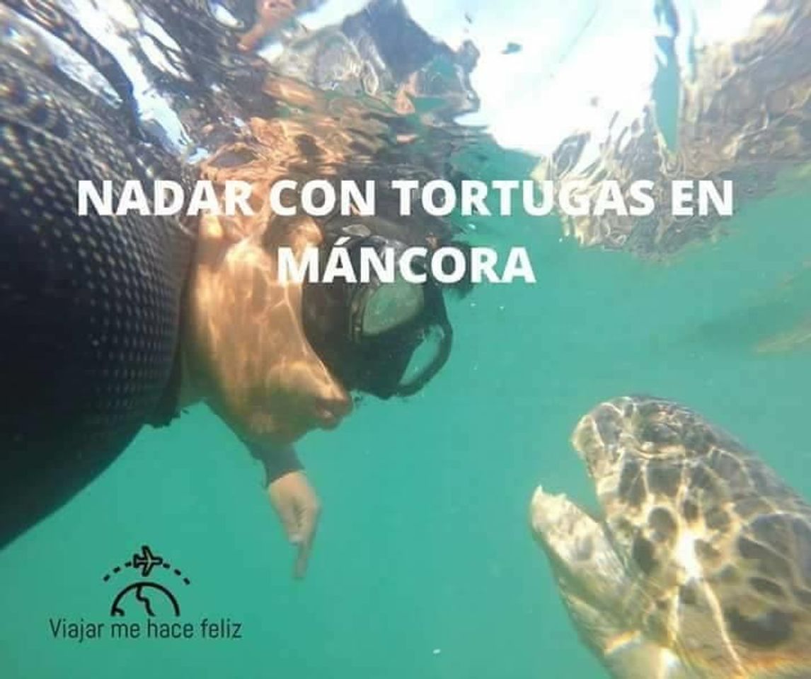 Lugar NADAR CON TORTUGAS EN PIURA
