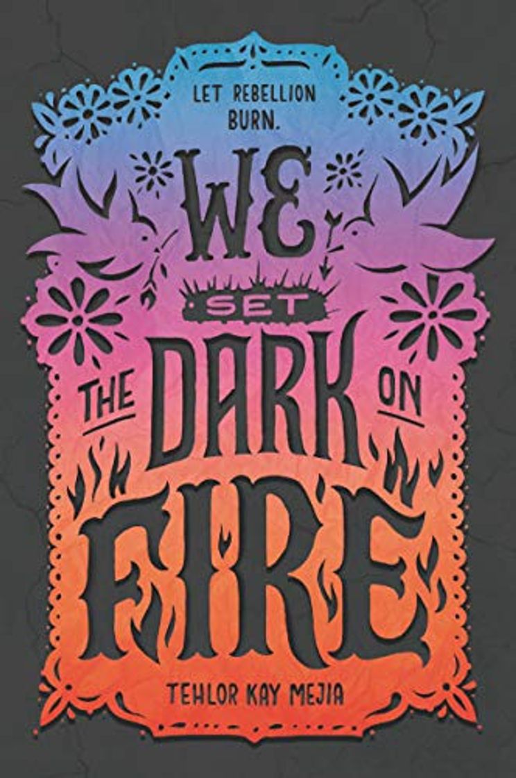 Libros We Set The Dark On Fire