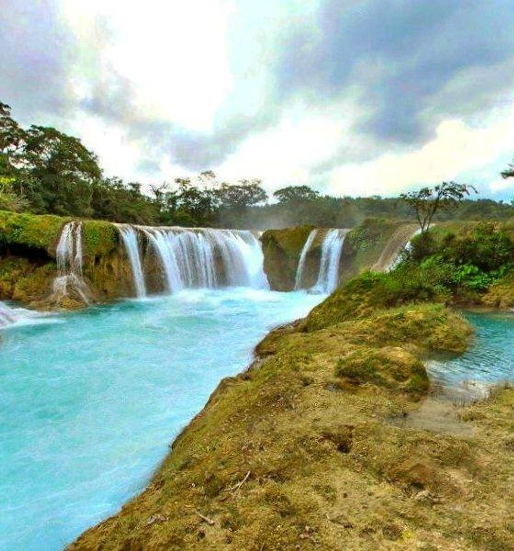 Place Cascadas Verdes Las Nubes Centro Ecoturístico