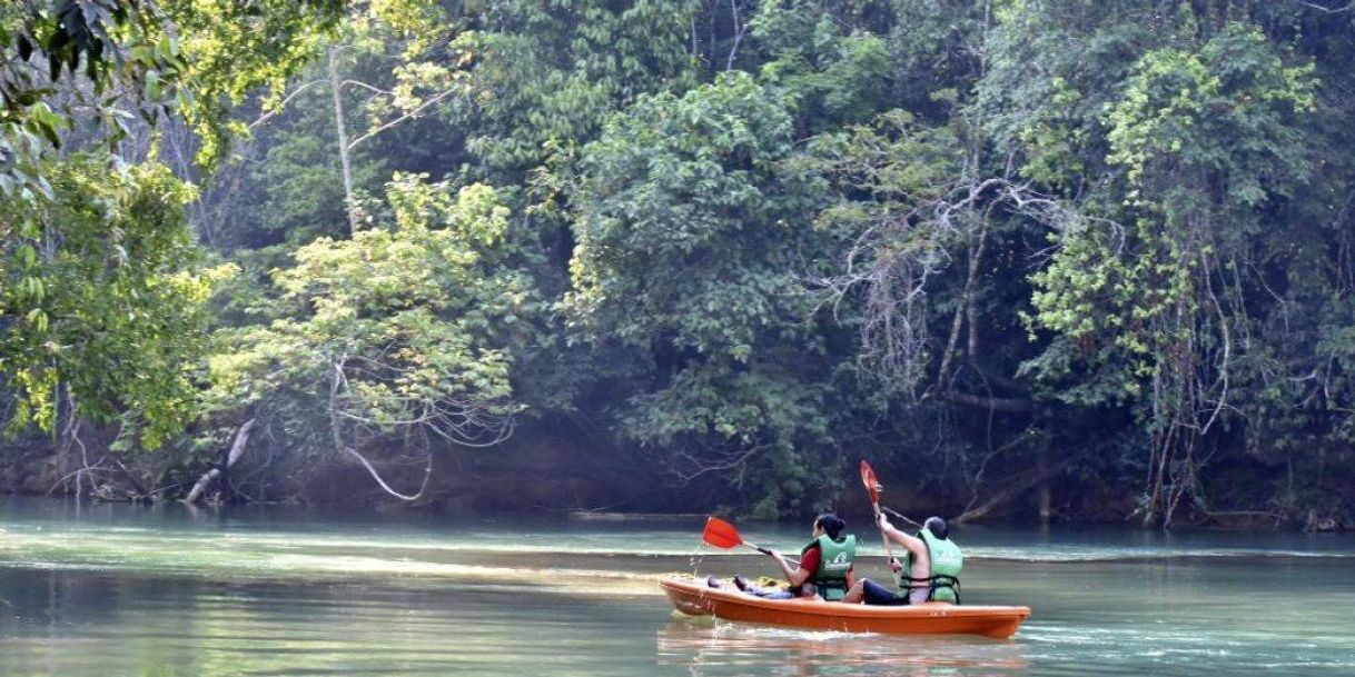 Place Las Guacamayas Ecolodge