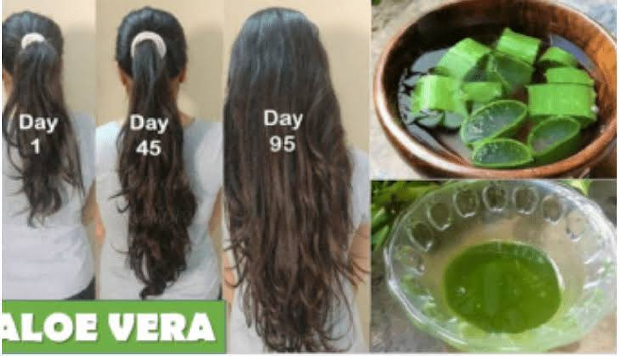 Fashion Aloe Vera beneficios!