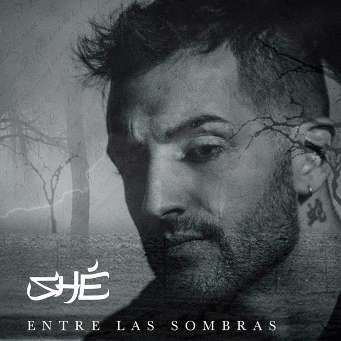 Canción SHÉ - ENTRE LAS SOMBRAS