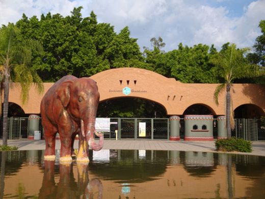 Zoológico Guadalajara