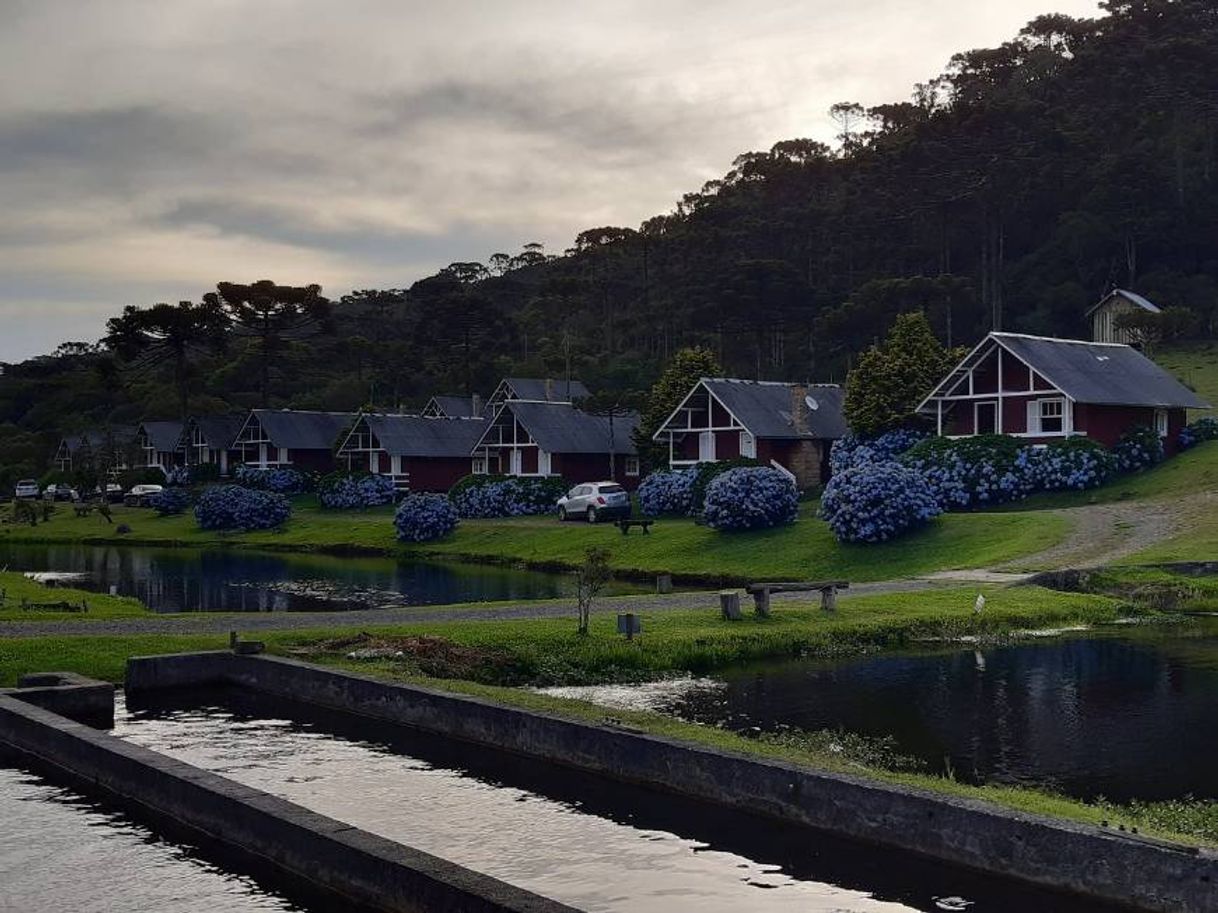 Lugar Vale das Trutas