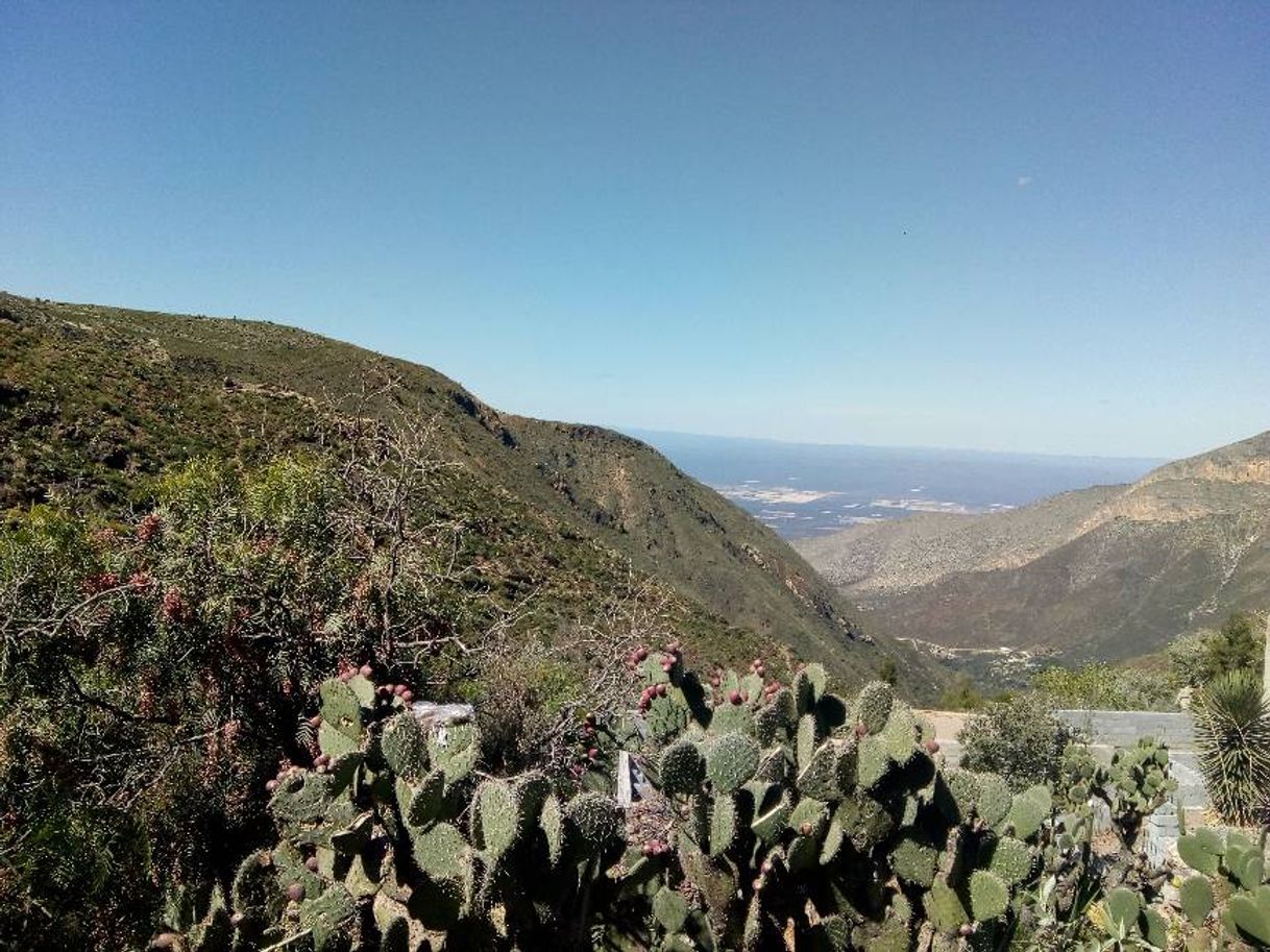 Lugar Real de Catorce