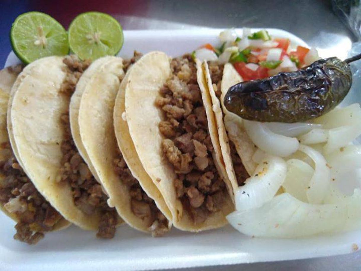 Restaurants Tacos el guero