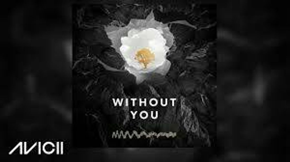 Music Avicii - Without You