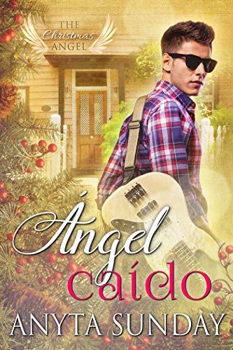 Book Ángel caído