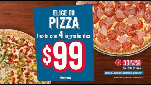 Domino's Pizza Arco Norte