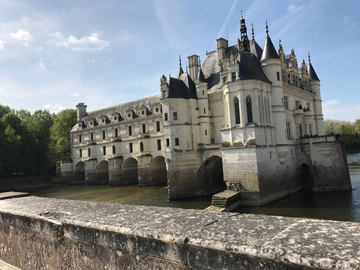 Lugar Château de Chenonceau