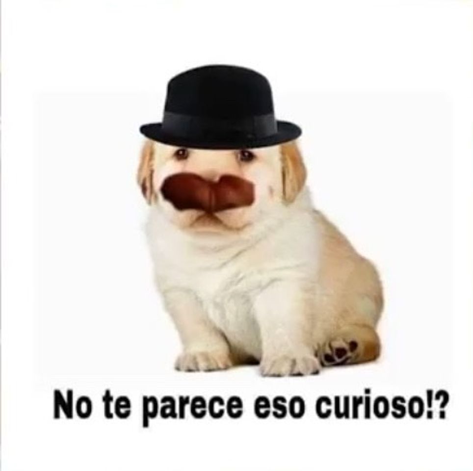 Un día "Normal" en la prepa | LioCRACKdo - YouTube